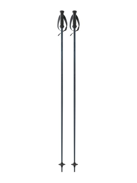 Fischer THE CURV Skistock