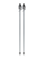 Fischer THE CURV Skistock